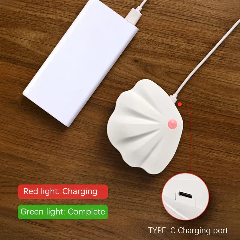 Motion Sensor LED Light