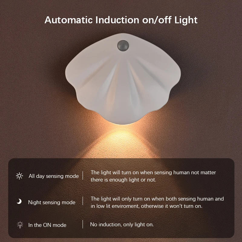 Motion Sensor LED Light